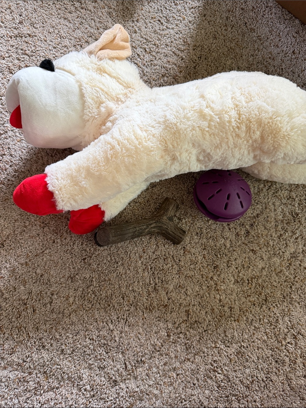 Dog Toy Bundle